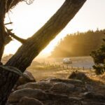 Naivasha Getaway Ideas for Nairobi Residents